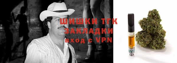spice Вяземский