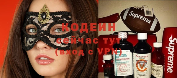 мдпв Вязьма