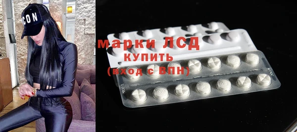шишки Сосновый Бор