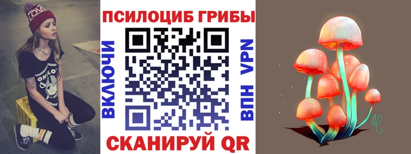 Галлюциногенные грибы MAGIC MUSHROOMS  ссылка на мегу зеркало  Ростов-на-Дону  дарнет шоп 